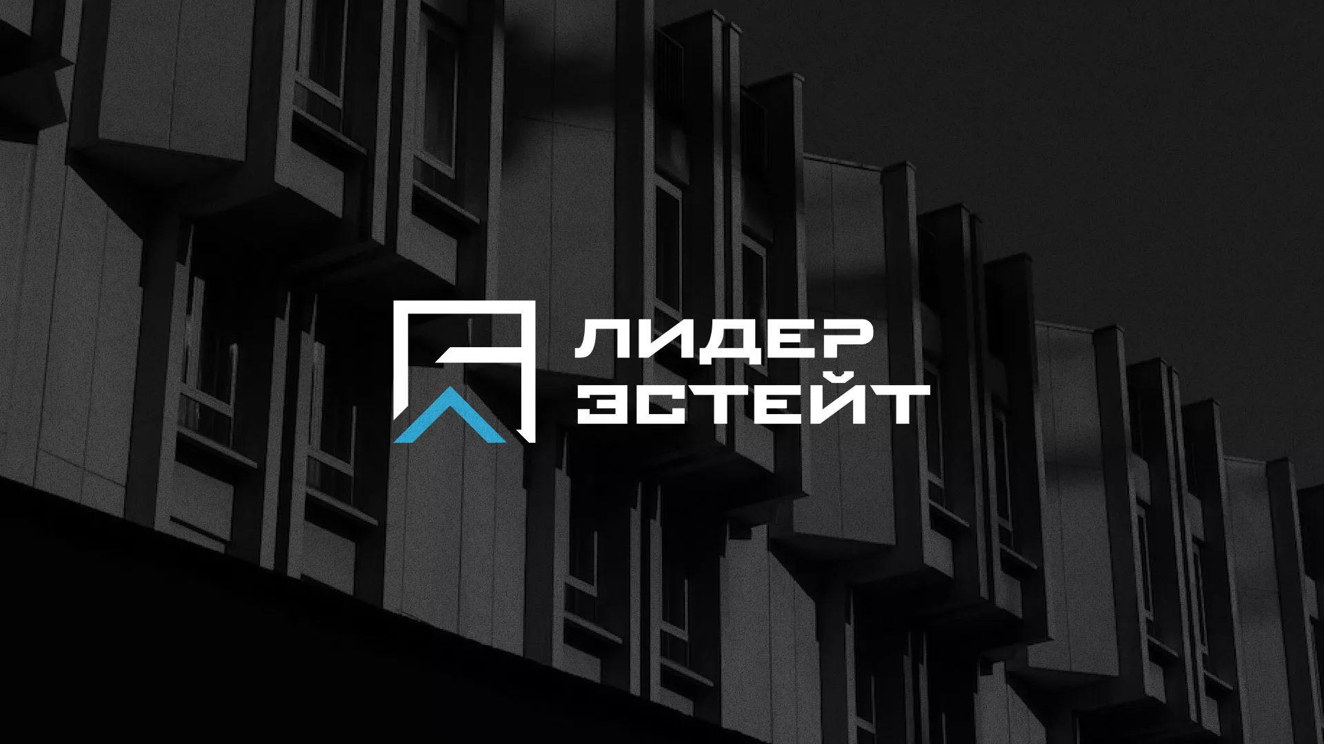 Разработка логотипа агентства недвижимости «Лидер Эстейт» в Жигулёвске